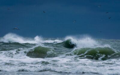 Psalm 107 – He Calms the Storm