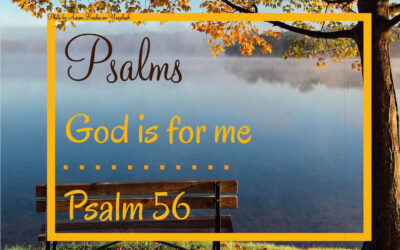 Psalm 56 – God is for Me