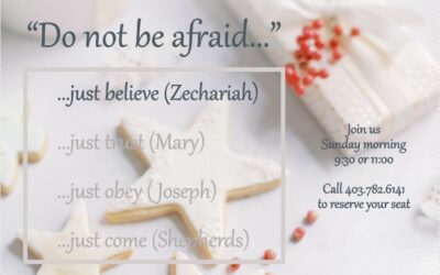 Second Advent Sunday