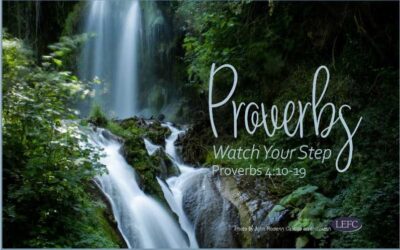Watch Your Step