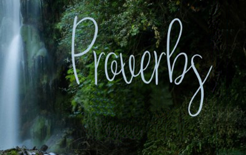 Pearls of Wisdom from Proverbs