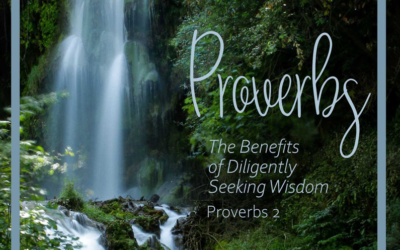 The Benefits of Diligently Seeking Wisdom