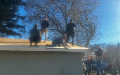 New Garage Roof
