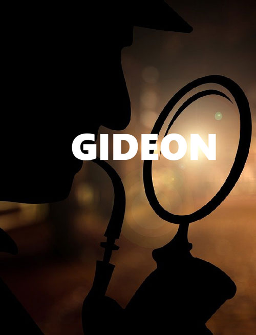 Person of Interest: Gideon