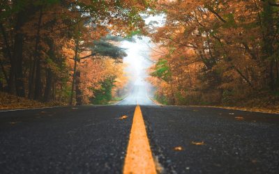 Fall Kick-Off: Is The Best Behind or Before You?