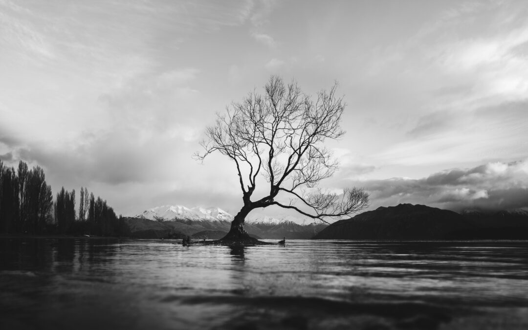 When Culture Clashes With Scripture: Addictions That Destroy [Romans 7:14-8:16]