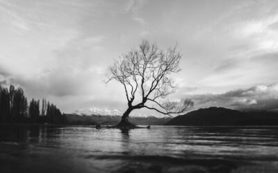 When Culture Clashes With Scripture: Addictions That Destroy [Romans 7:14-8:16]