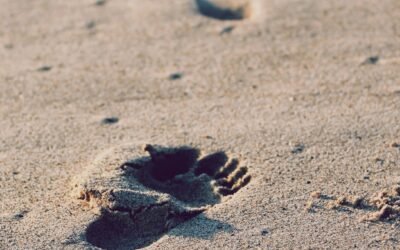 Walking With God