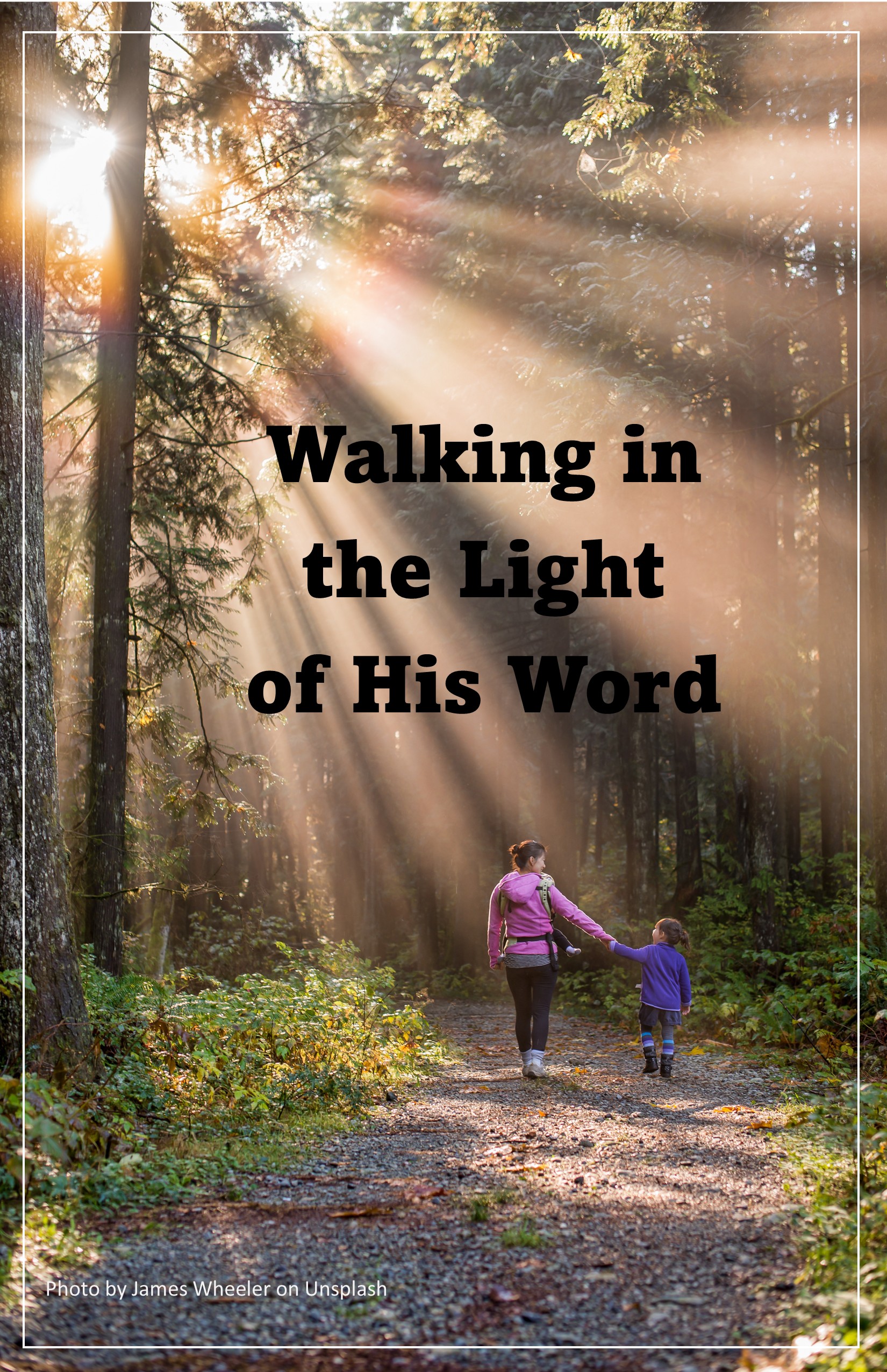 Series Walking in the Light of His Word Photo by Alexander Milo. Downloaded from Unsplash